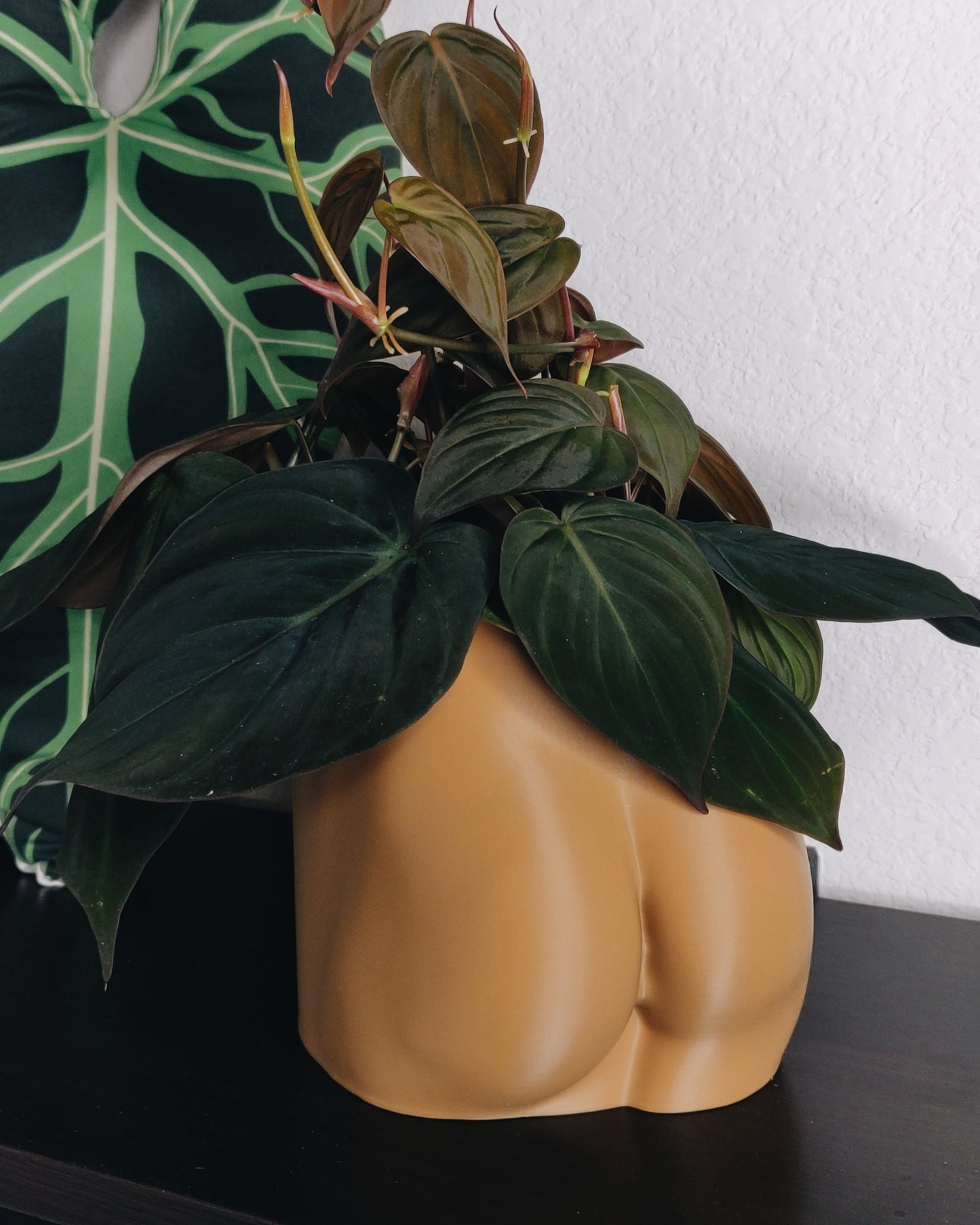 Beute-Pflanzgefäß
