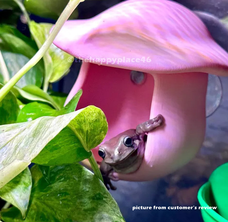 Hanging Mushroom House Hide 1.0