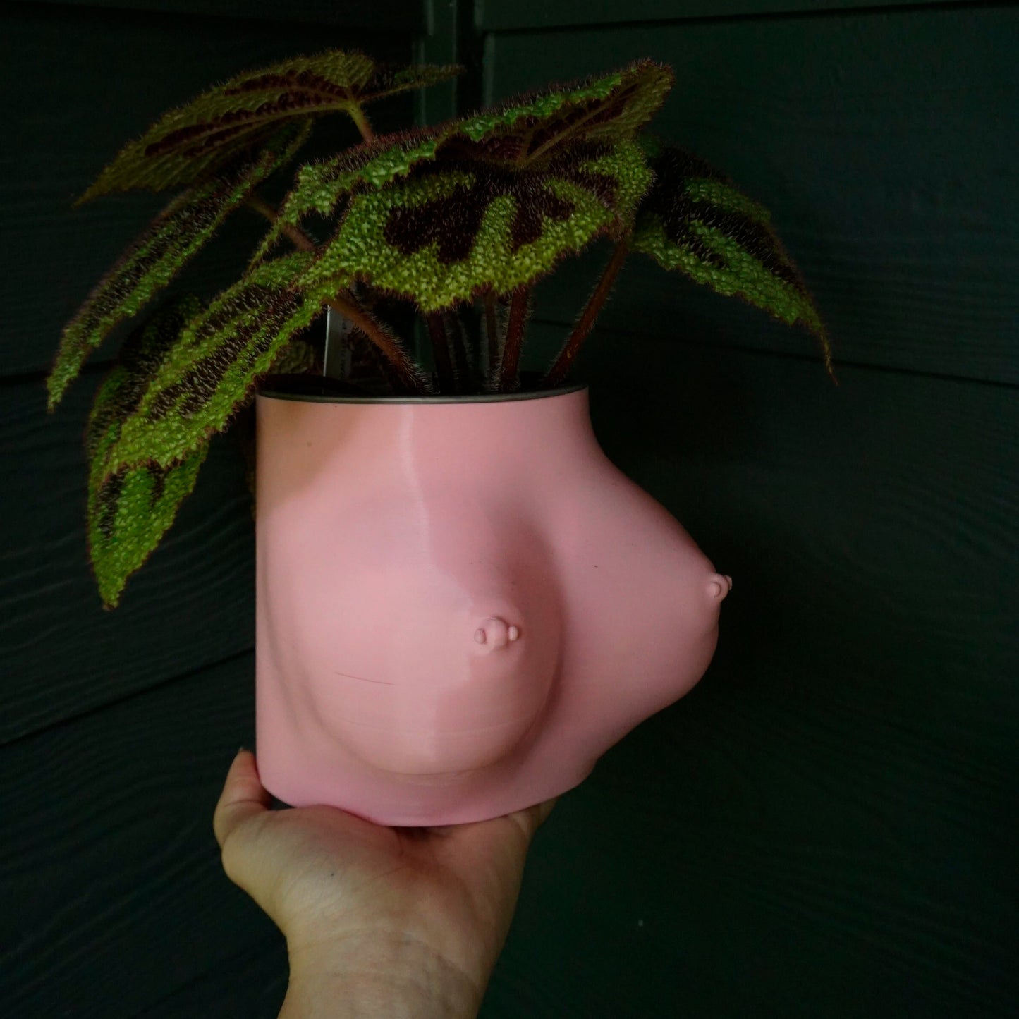 Booby Pot and DD Boob Planter