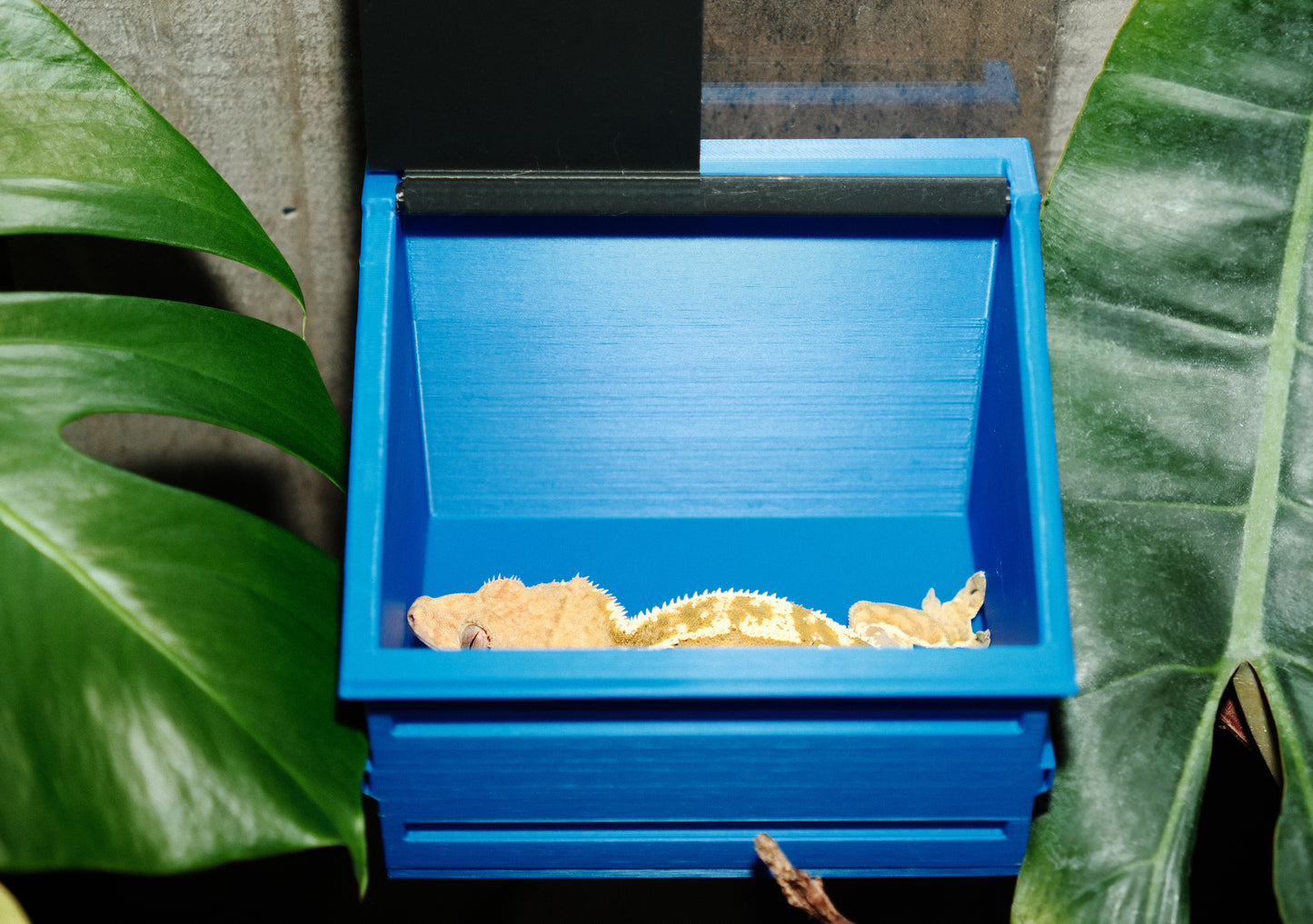 Dumpster Hide/Breeder box