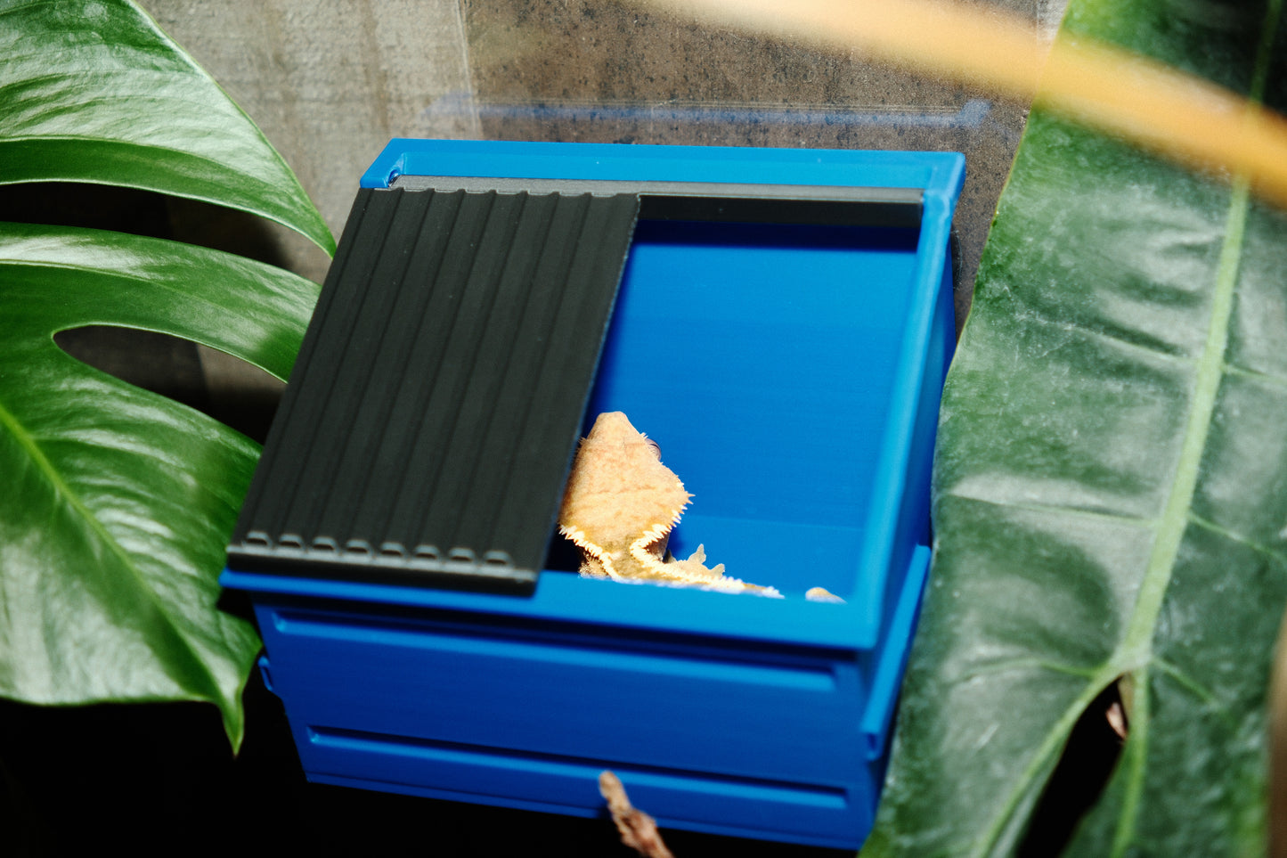 Dumpster Hide/Breeder box