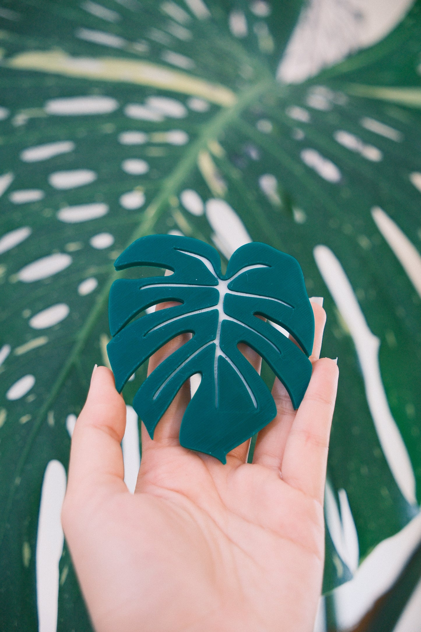 Decorative Plant Magnets