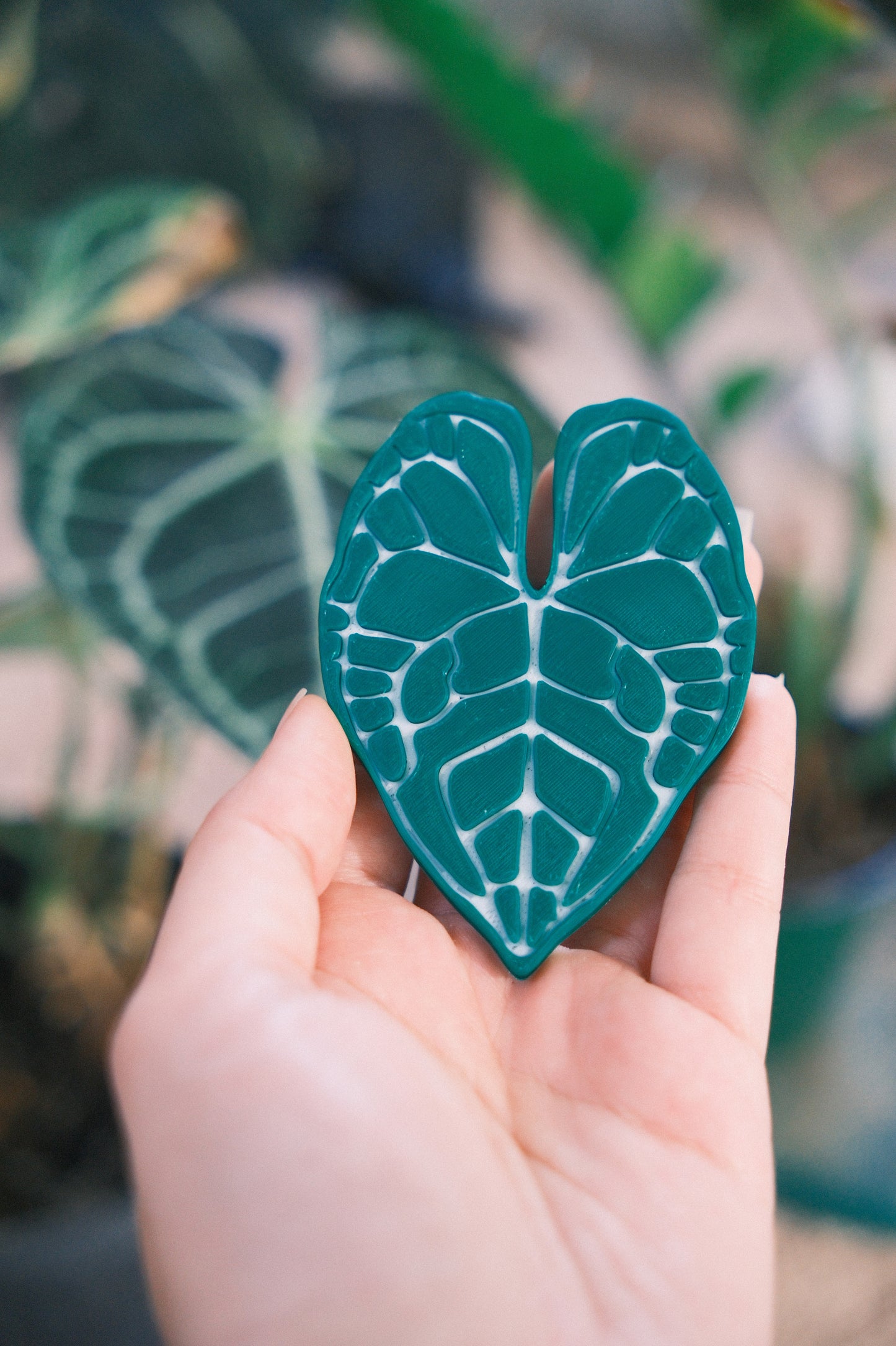 Decorative Plant Magnets