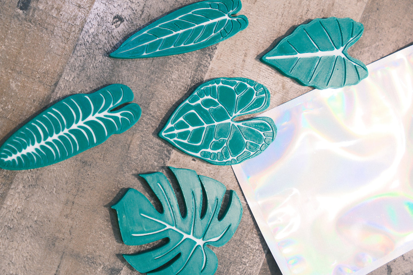 Decorative Plant Magnets