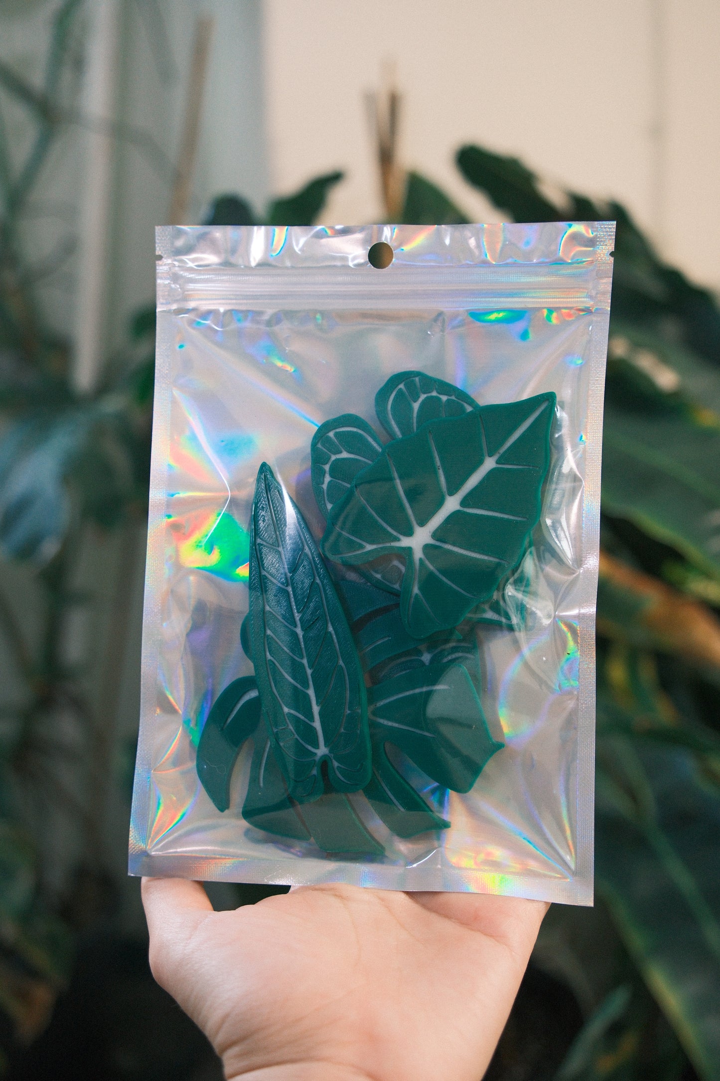 Decorative Plant Magnets