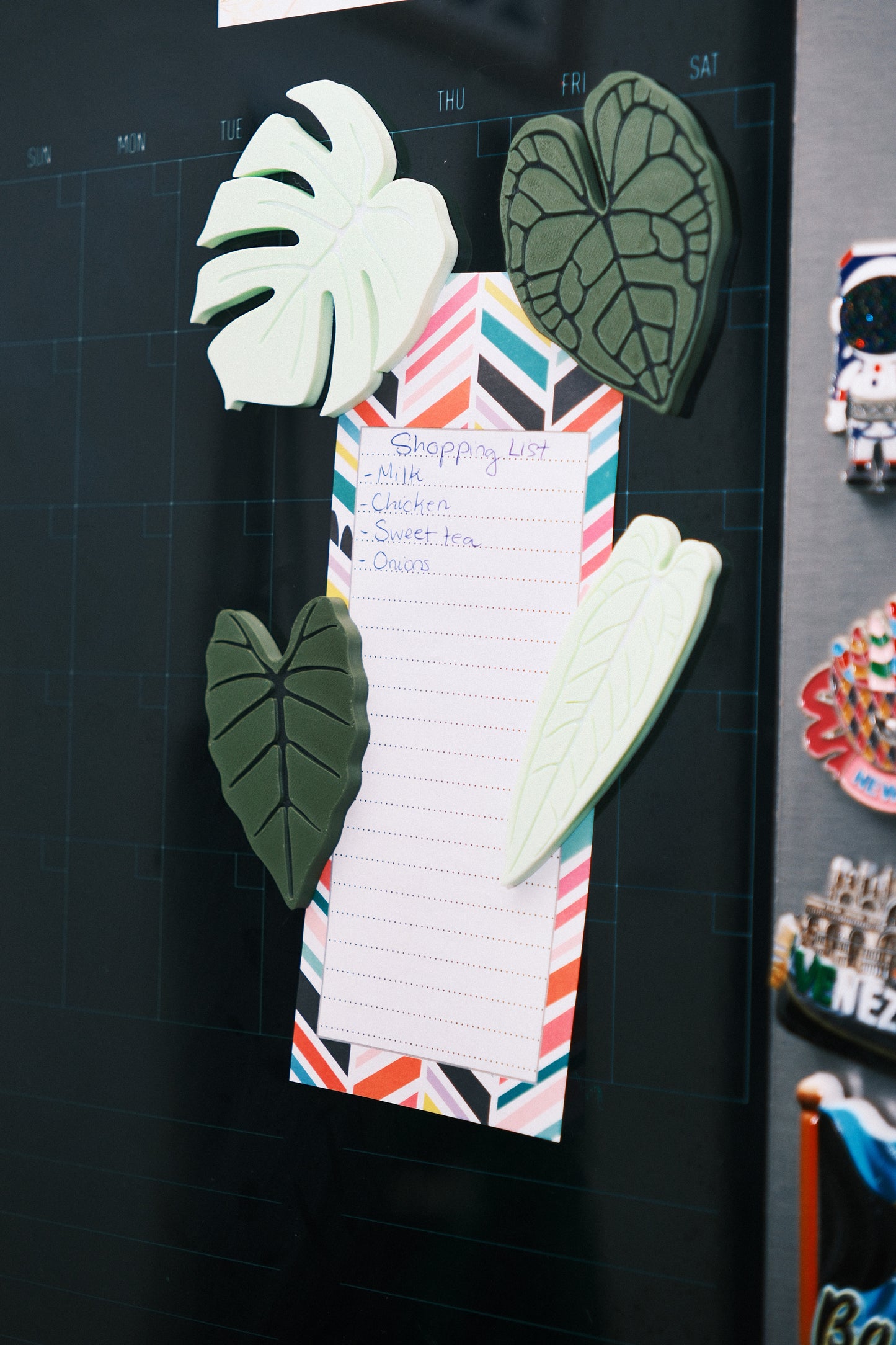Decorative Plant Magnets