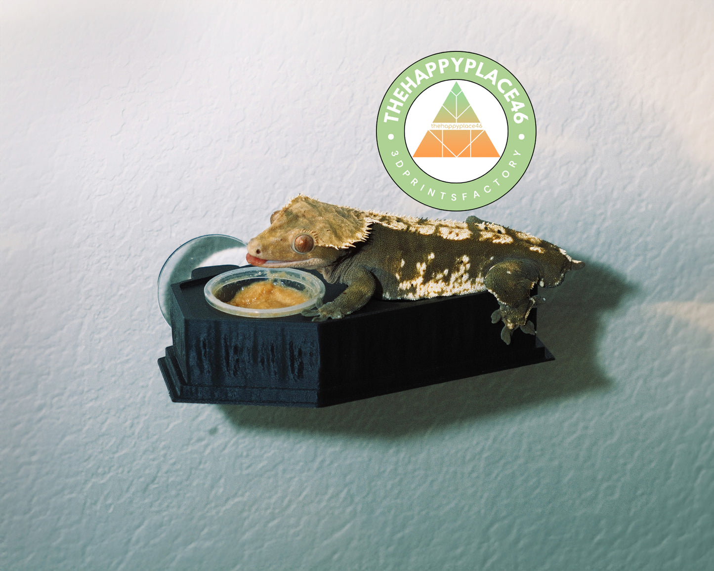 Gecko Feeding Ledge Halloween Coffin With Lid