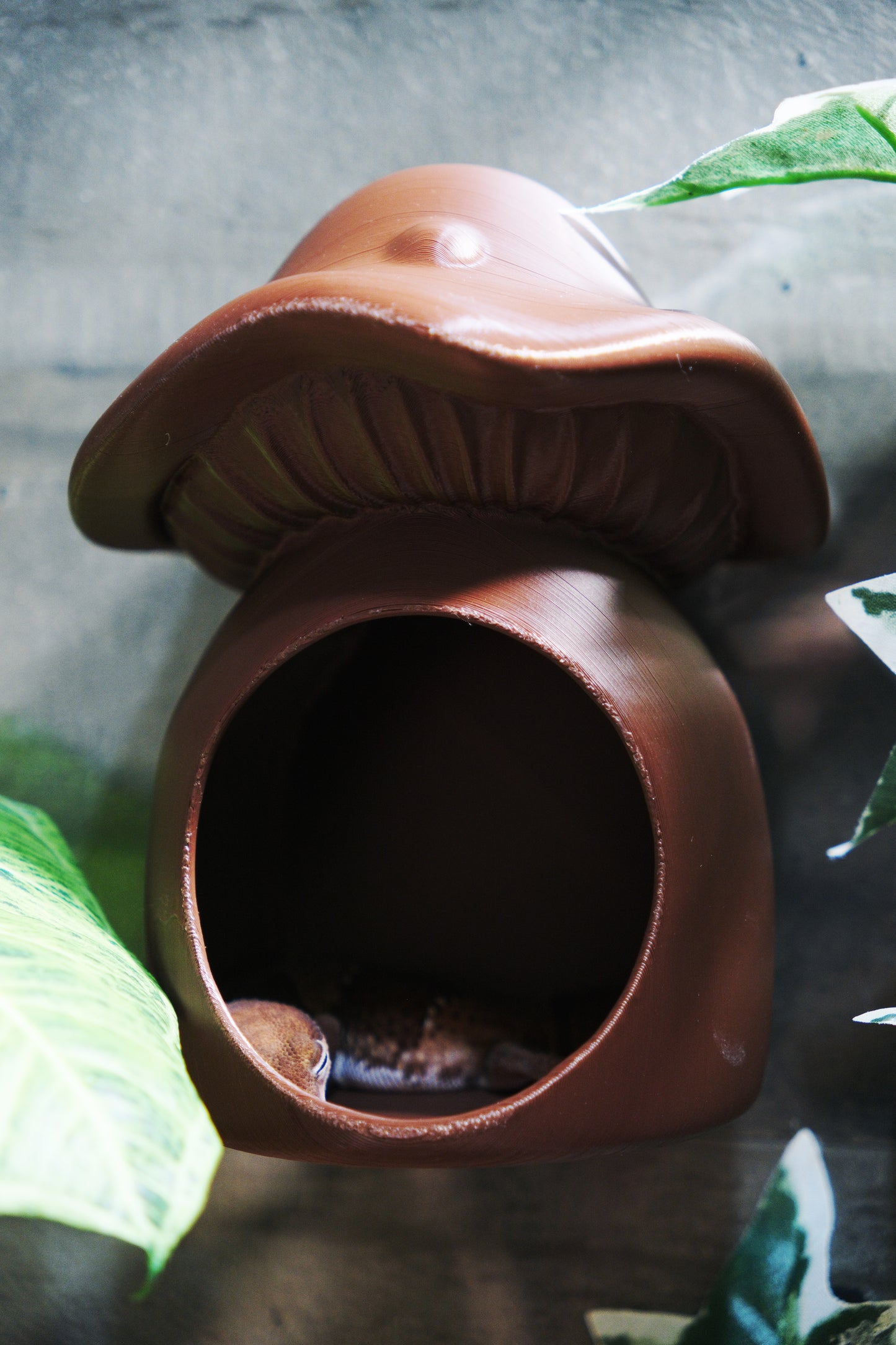 Hanging Mushroom House Hide 2.0