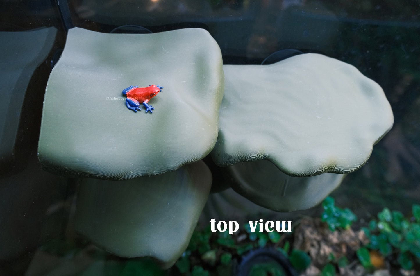 Corner Mushroom Ledge Two-Piece Perch Set