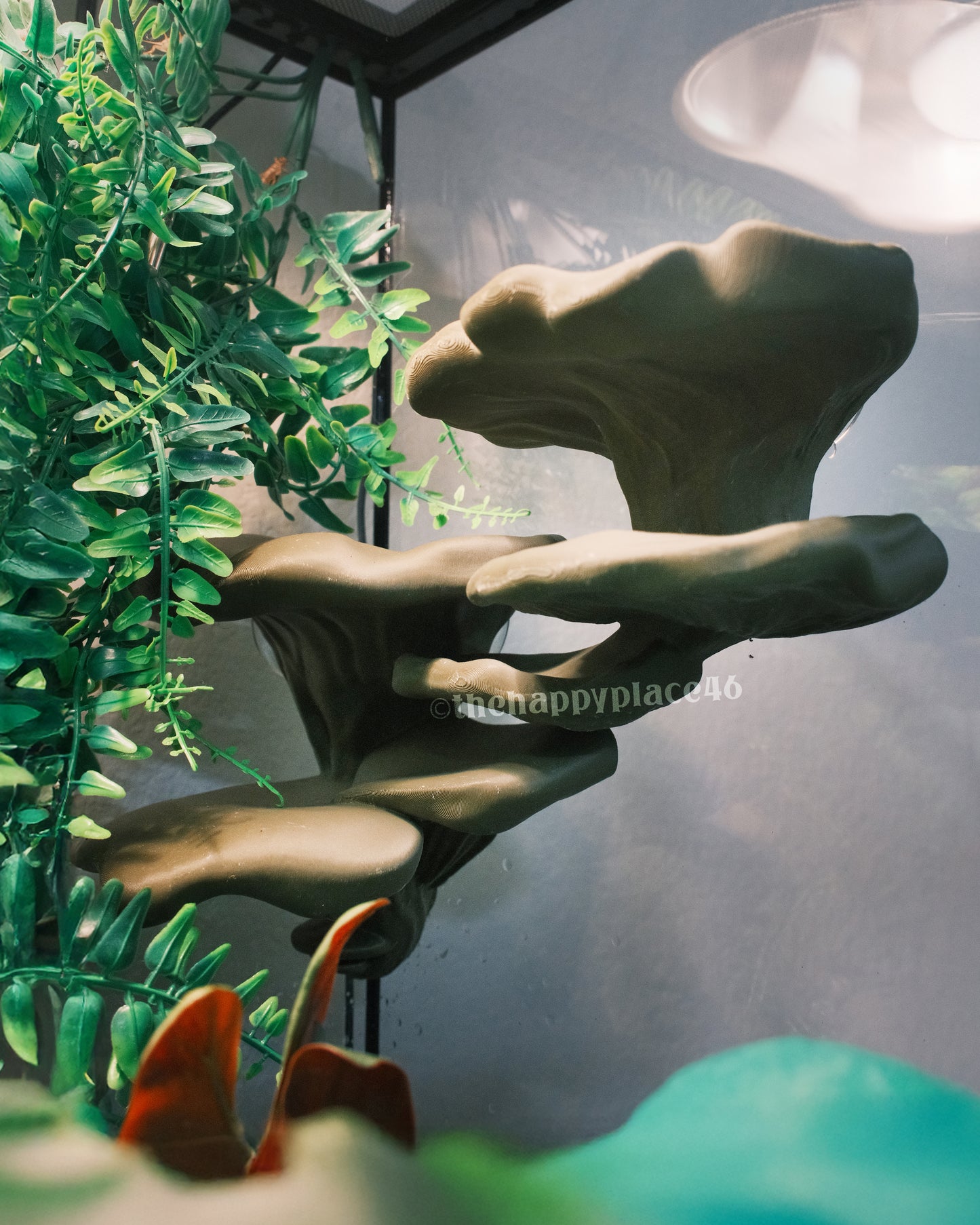 Corner Mushroom Ledge Two-Piece Perch Set