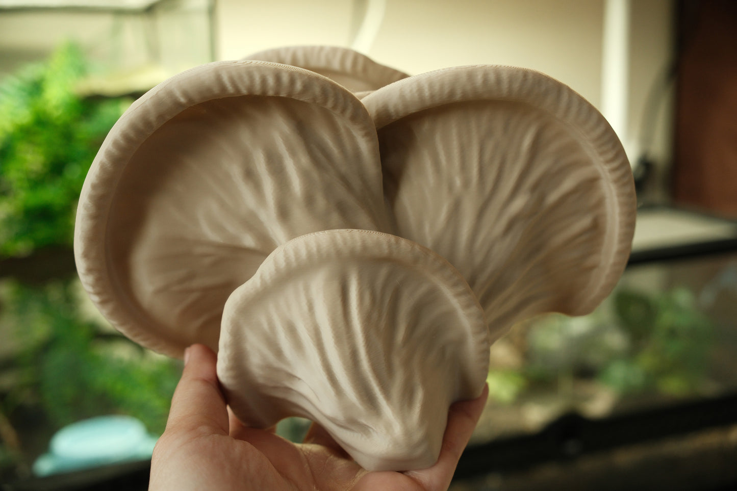 Oyster Mushroom Ledge Frog Perch