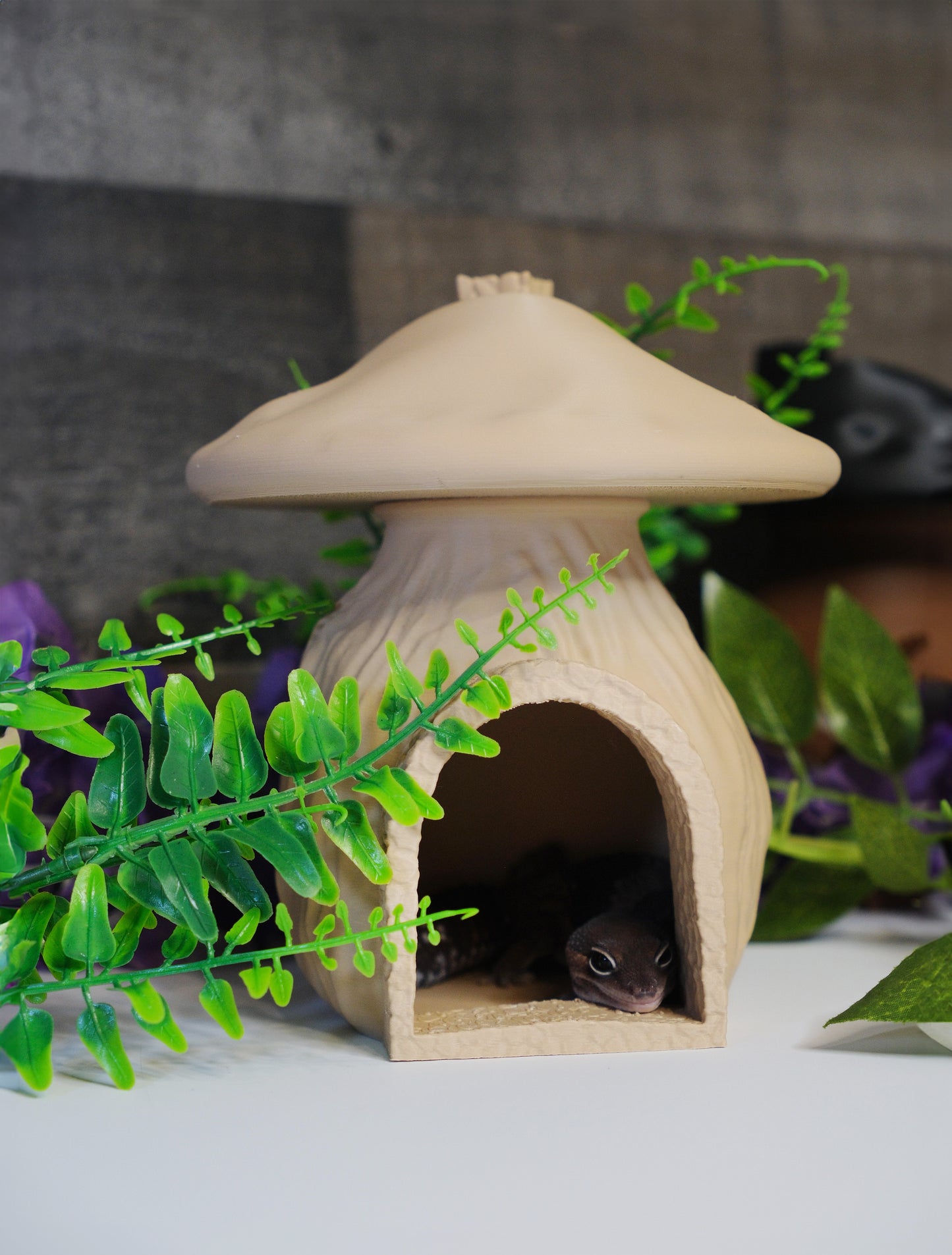 Textured Mushroom House Hide