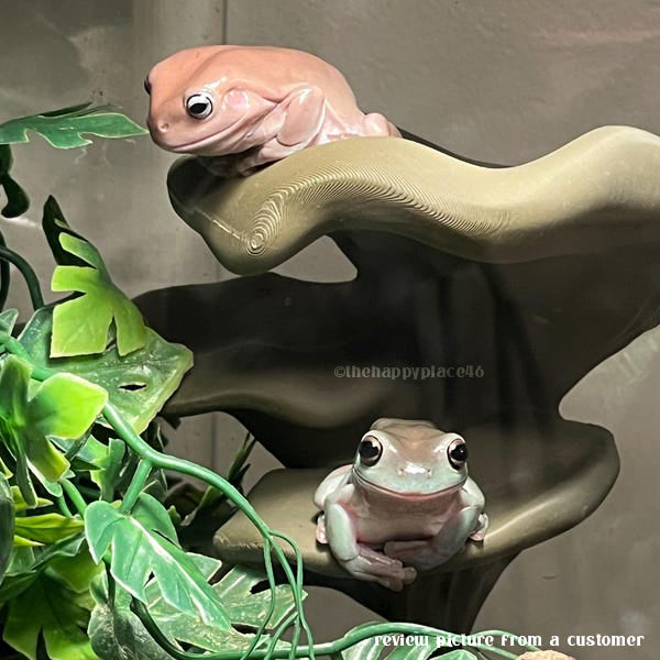 Multiplatform Ledge Realistic Mushroom