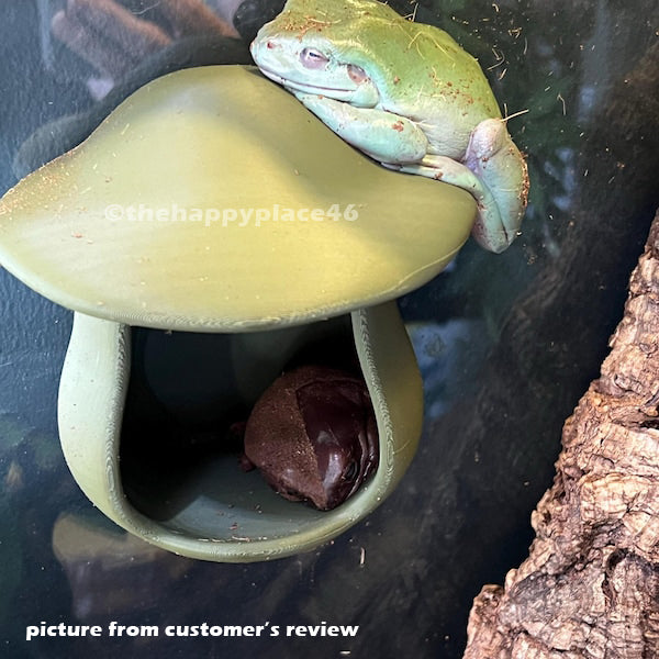 Hanging Mushroom House Hide 1.0
