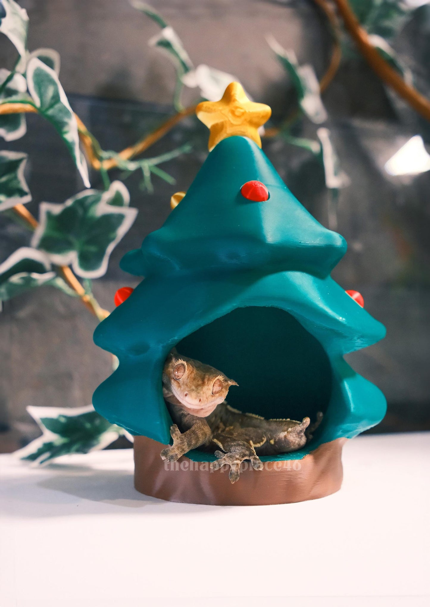 Christmas Tree Hide