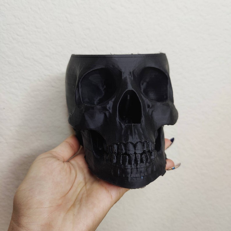 Skull Planter for Indoor Plants