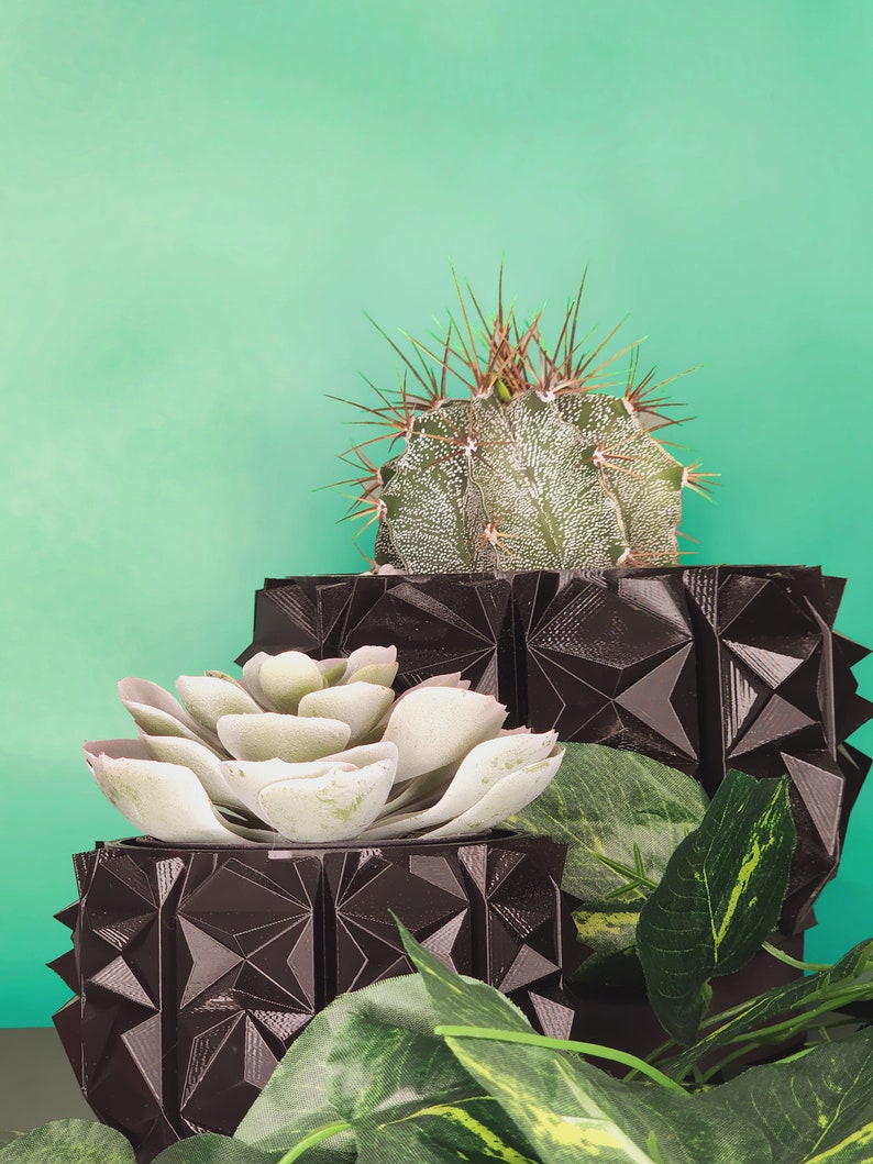 Spikey Geometric Planter
