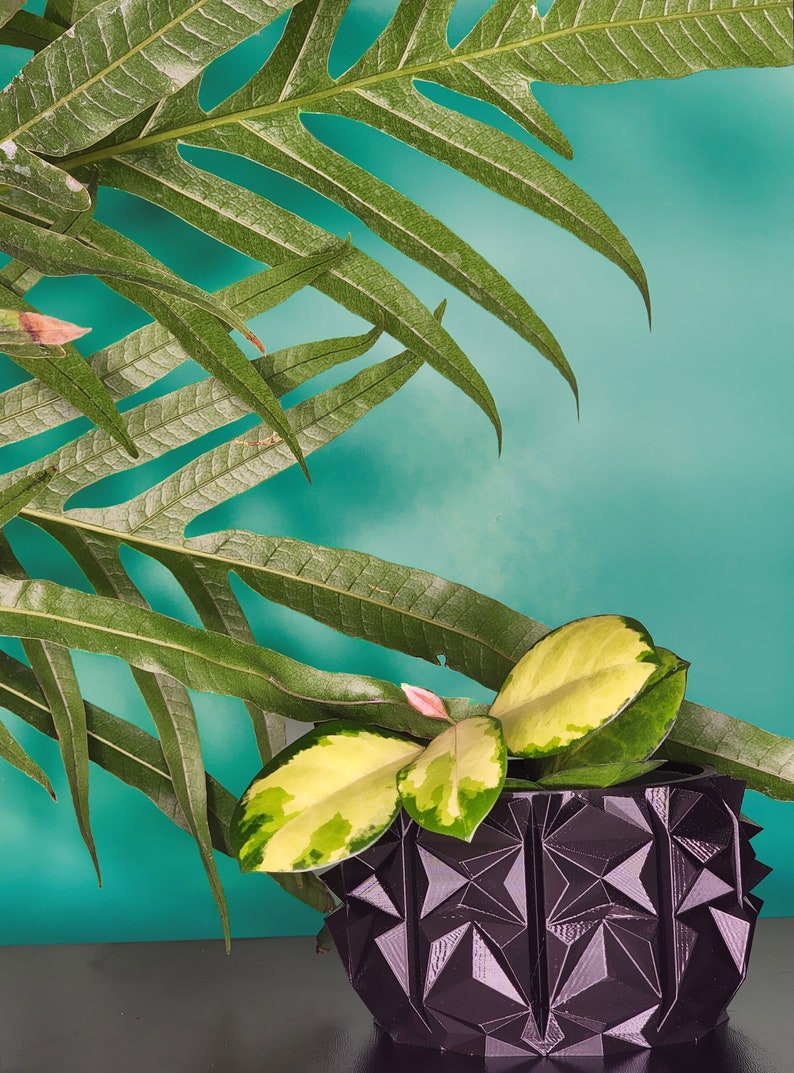 Spikey Geometric Planter