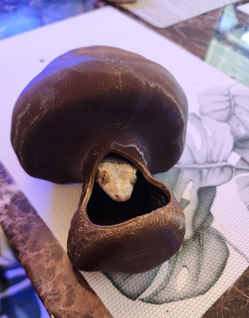 Hanging Mushroom Hide
