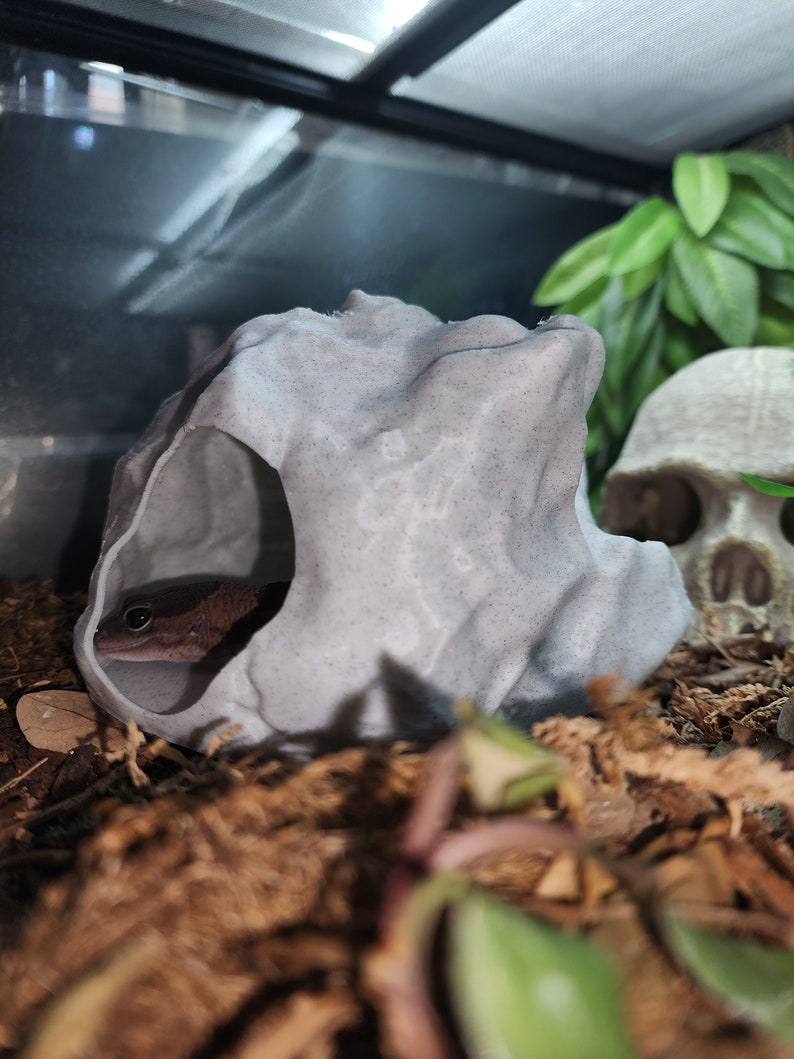 Rock Hide For Geckos and Snakes