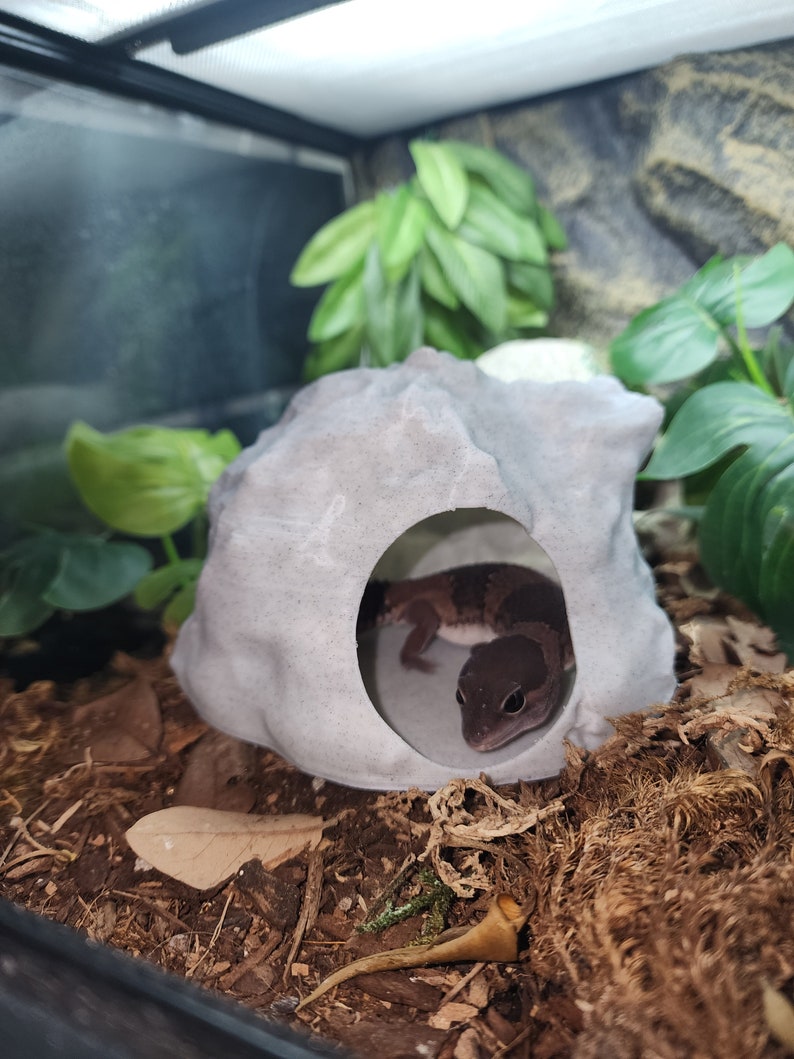 Rock Hide For Geckos and Snakes