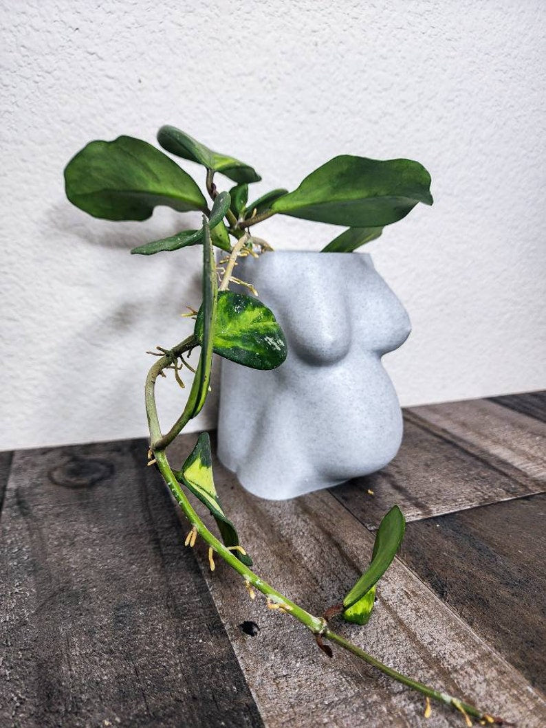 Pregnant Woman Planter