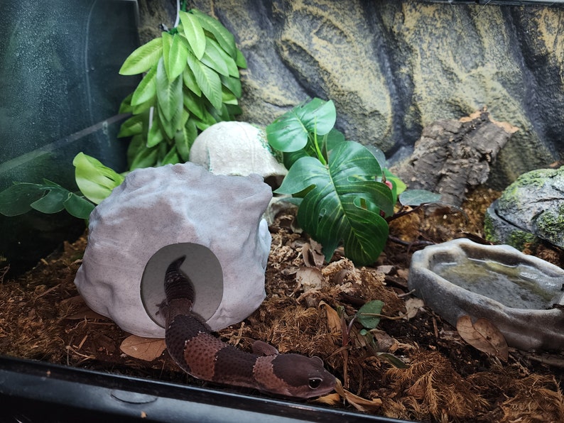 Rock Hide For Geckos and Snakes