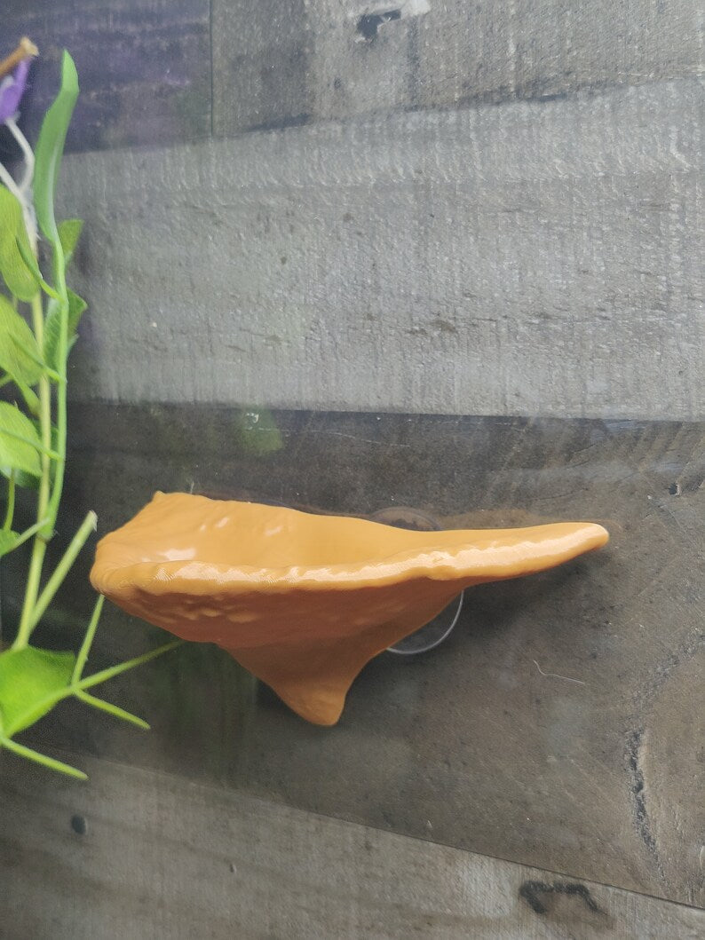 Textured Mushroom Ledge