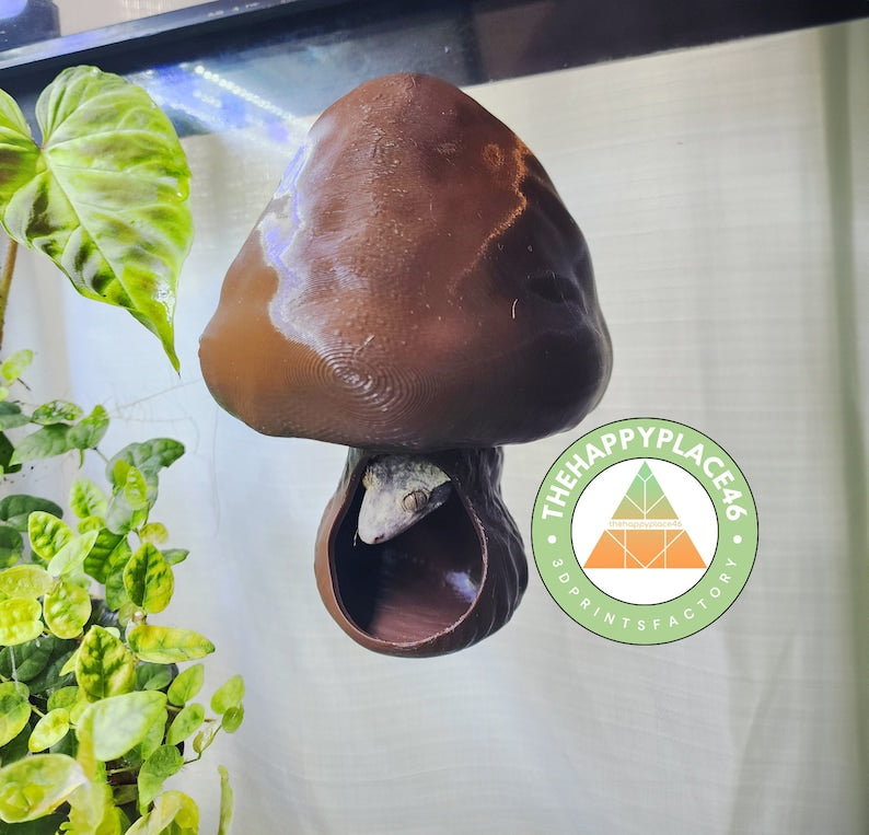 Hanging Mushroom Hide