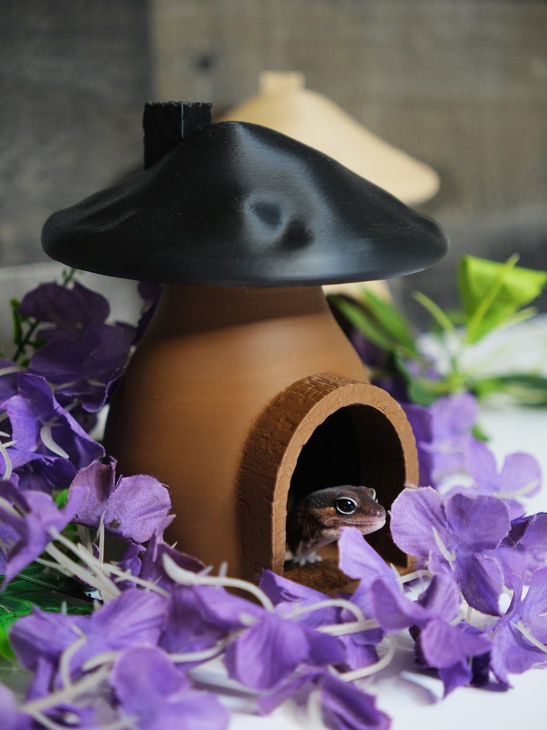 Smooth Mushroom House Hide