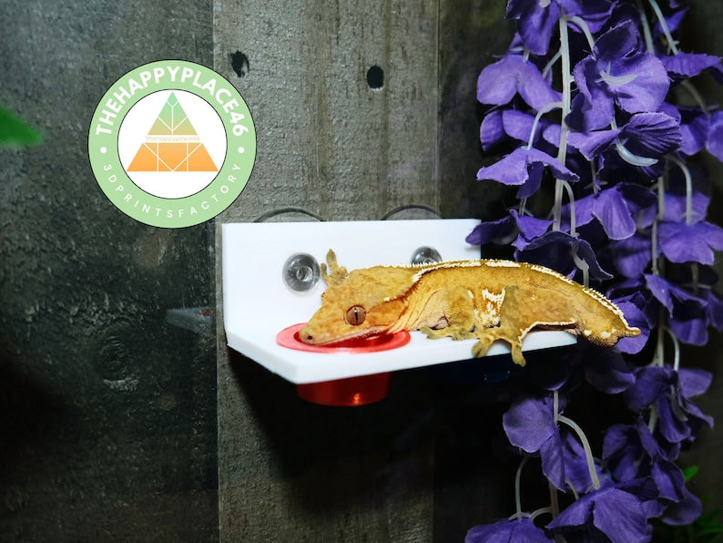 Feeder Ledge with included Reusable Cups