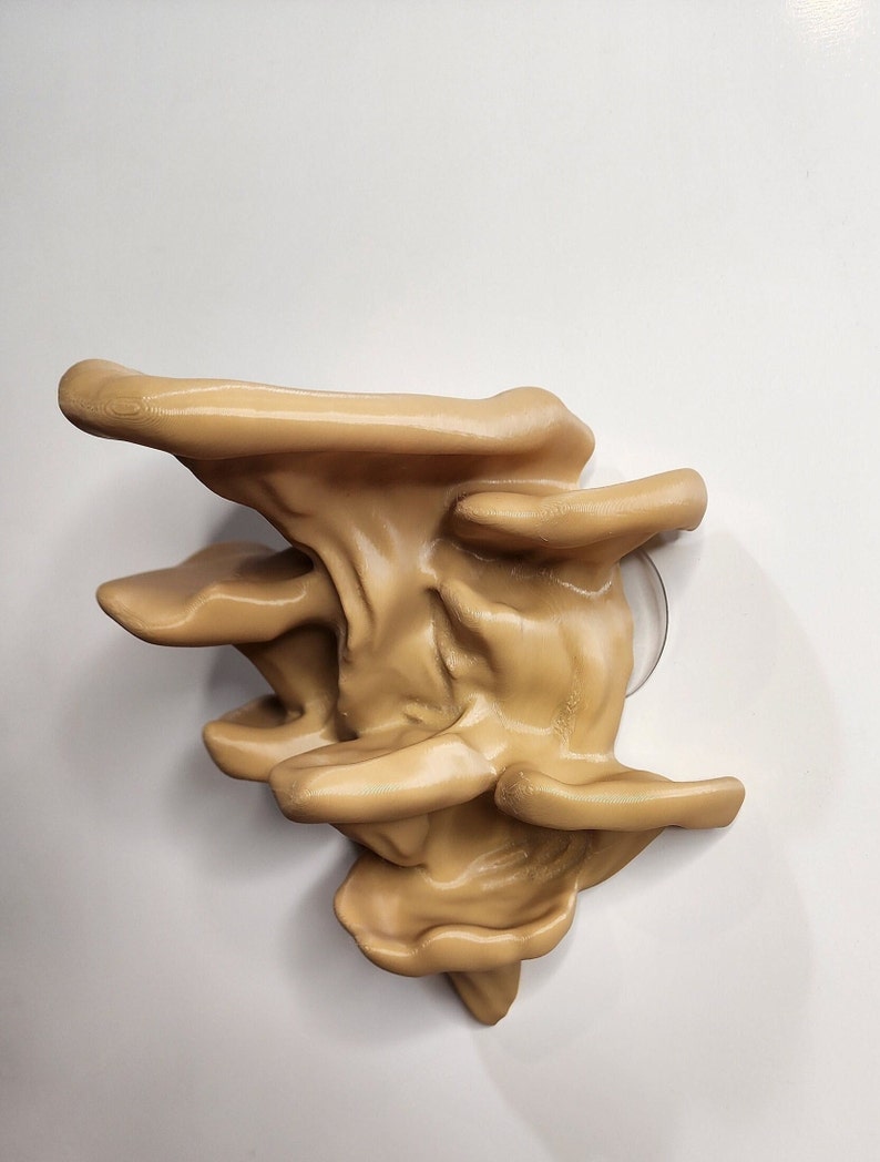 Multilevel Mushroom Platform