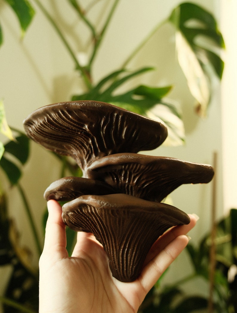 Mehrstufiger Pilz-Leistenaufhänger