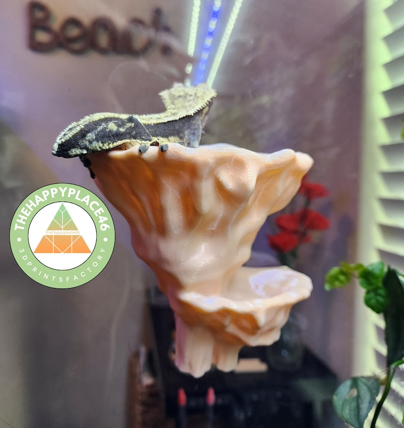 Hanging Mushroom Two Tiered Ledge