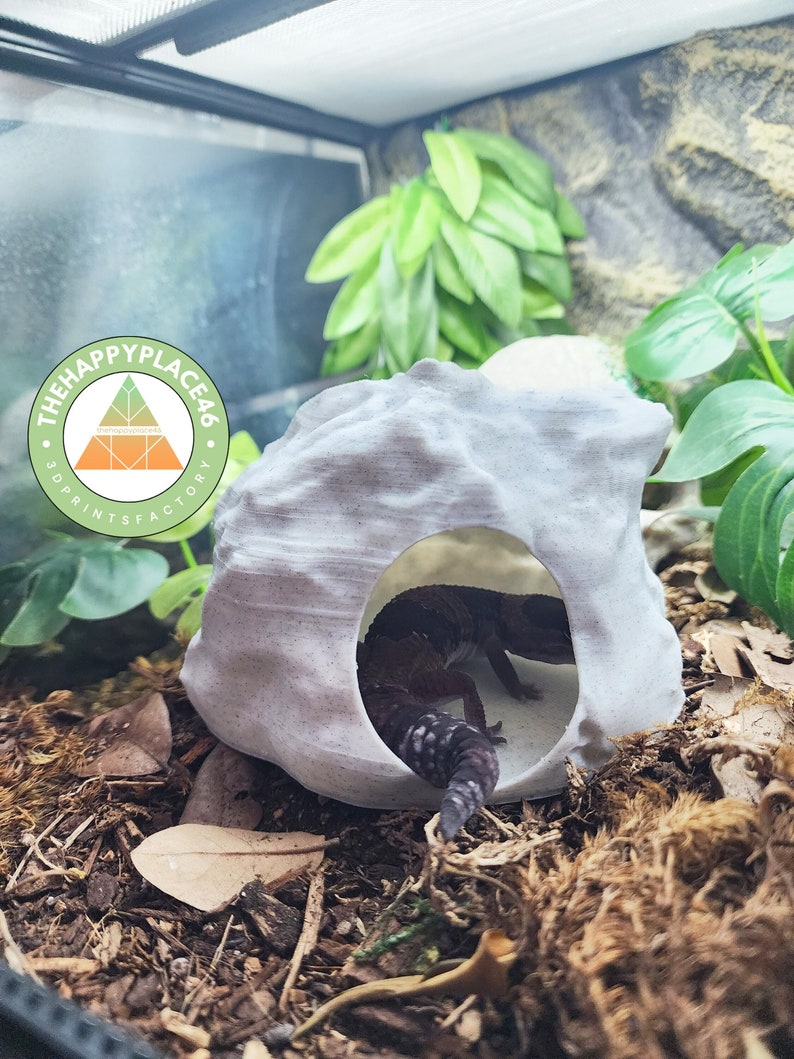 Rock Hide For Geckos and Snakes