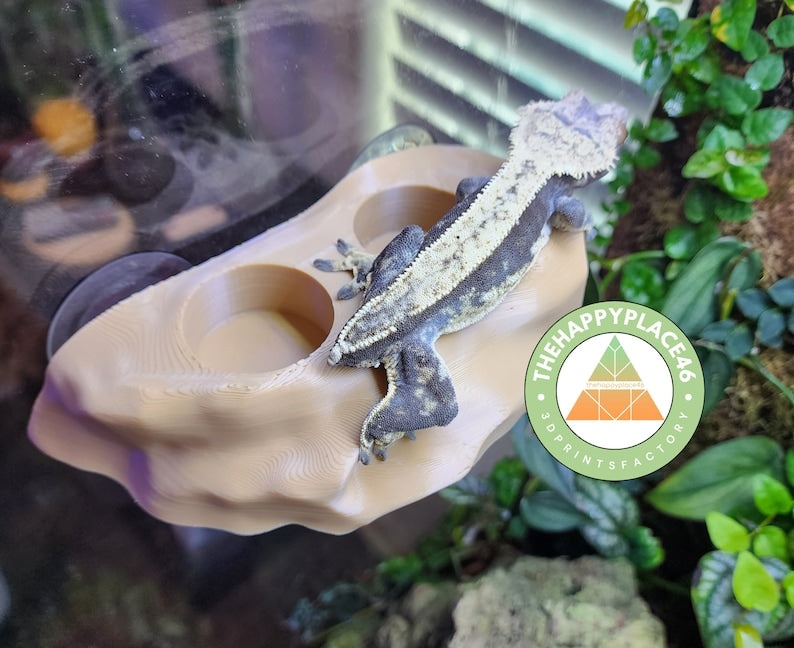 Feeding Ledge Rock Feeder Ledge