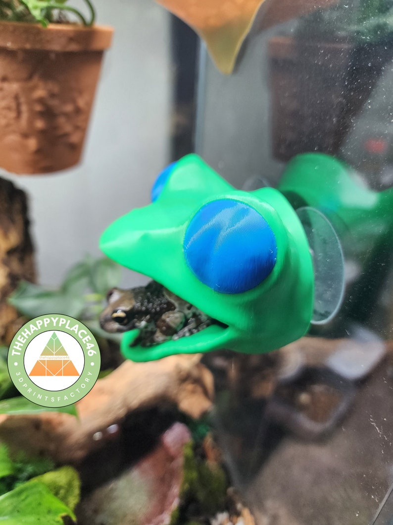 Tree Frog Ledge
