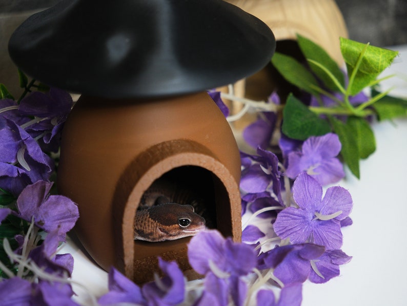 Smooth Mushroom House Hide