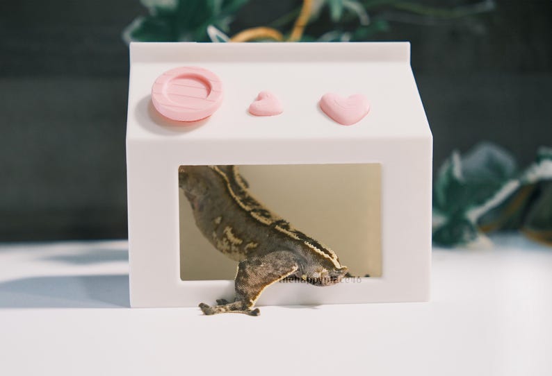 Milk Carton Hide