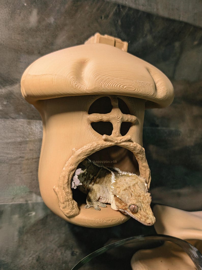 Hanging Mushroom House Hide 4.0