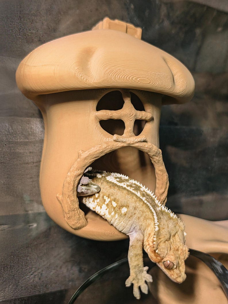 Hanging Mushroom House Hide 4.0