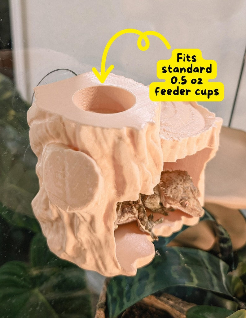 Tree Trunk Hide and Feeder Ledge