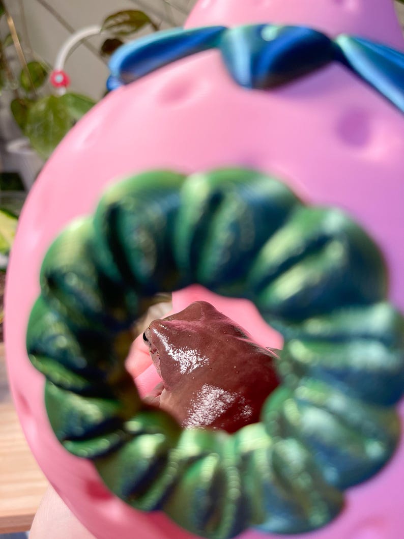 Strawberry House