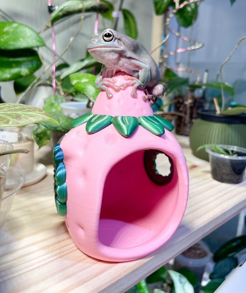 Strawberry House