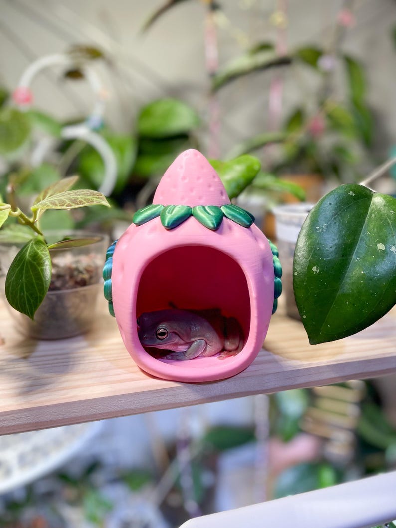 Strawberry House