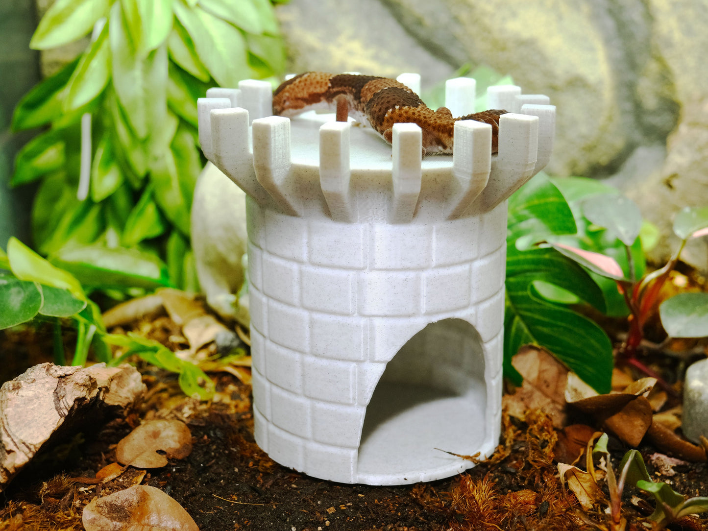 Castle Hide