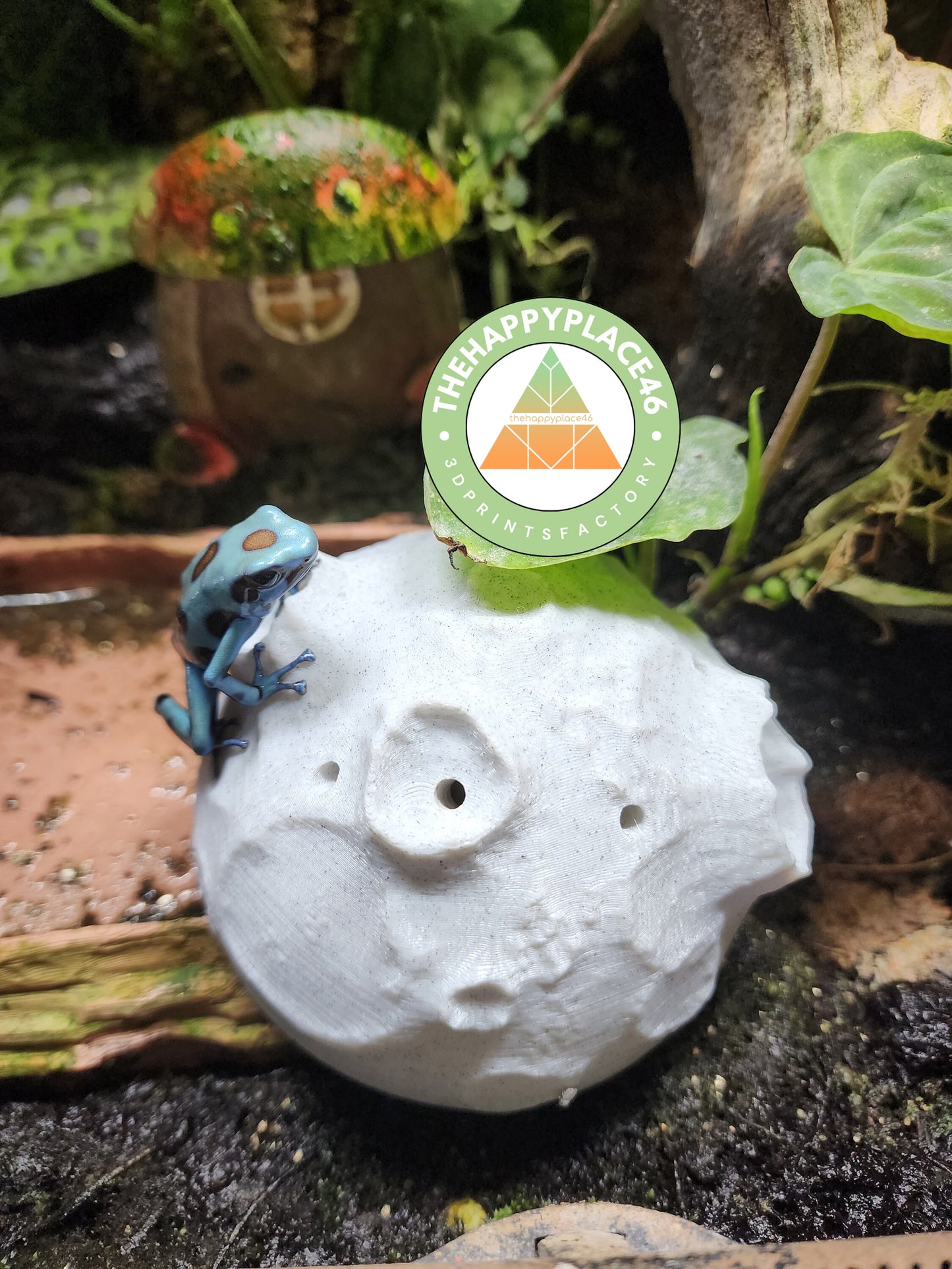 Dart Frog Slow Release Fly Feeder Moon Rock