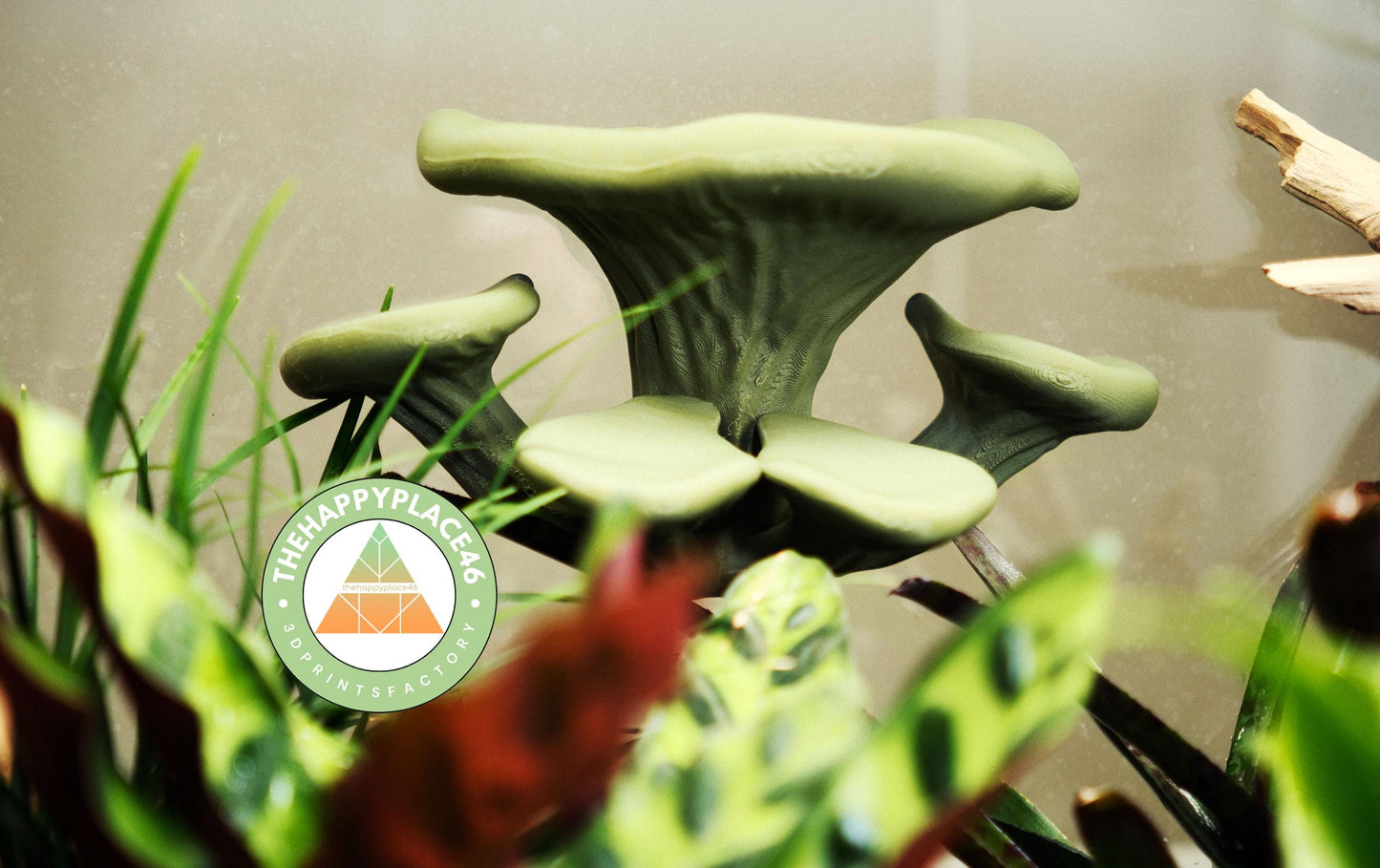 Three level Mushroom Ledge