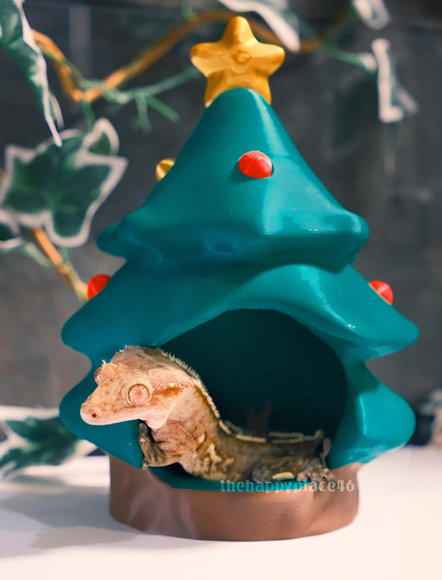 Christmas Tree Hide