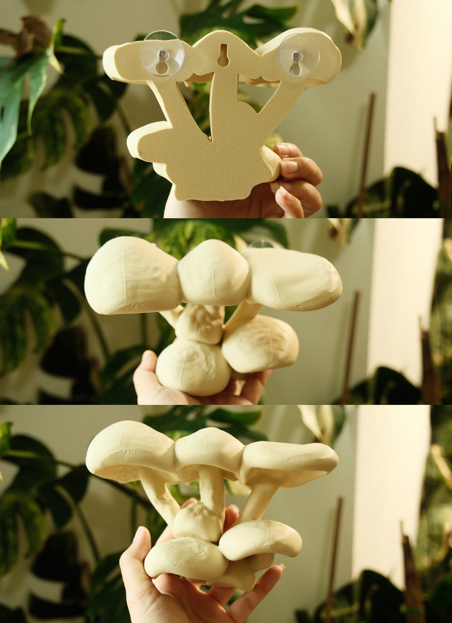 Two Level Mushroom Cluster Ledge